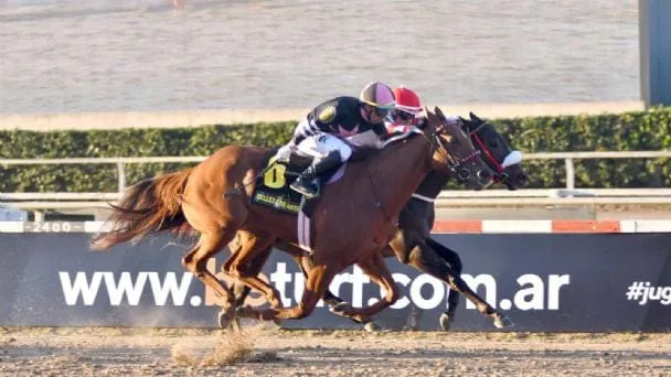 345070228_594529325964427_6917931050492451461_n