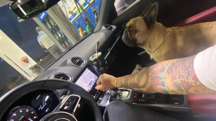 2023-07-30-perro-perez-algaba-1620687