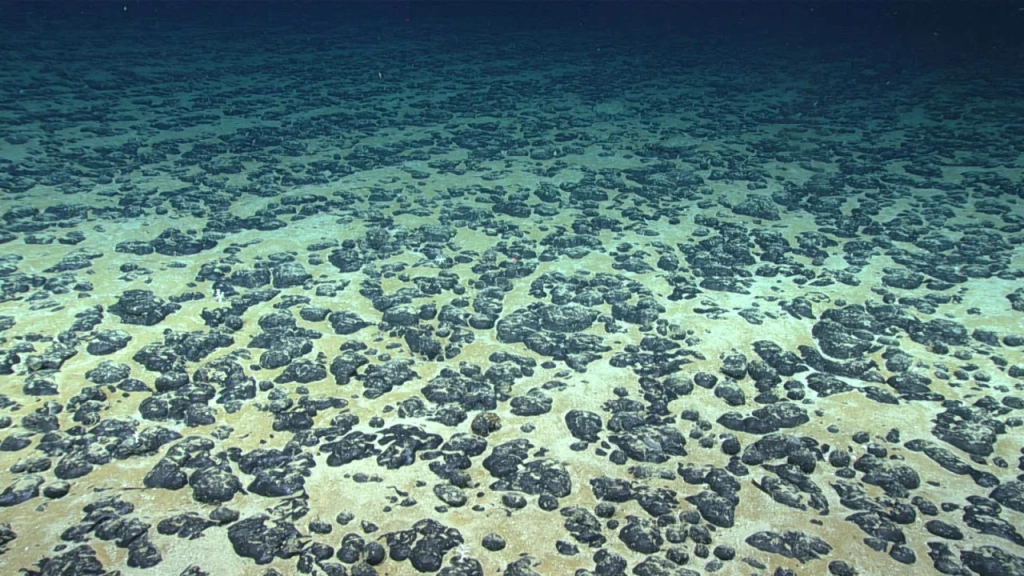 230620161341-05-ocean-exploration-explainer-seafloor