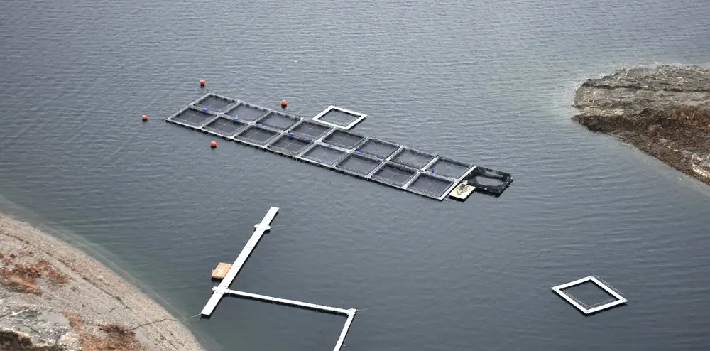 Web...Piedra-_SIP6437