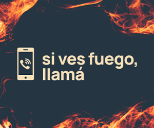 TW_EMERGENCIAIGNEA300X250