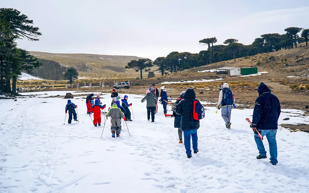 El-Municipio-adjudico-la-concesion-para-reactivar-el-Complejo-Turistico-Primeros-Pinos-1