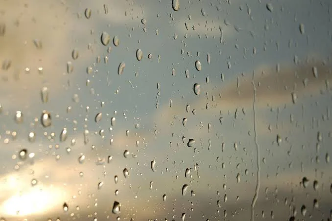 images (4)