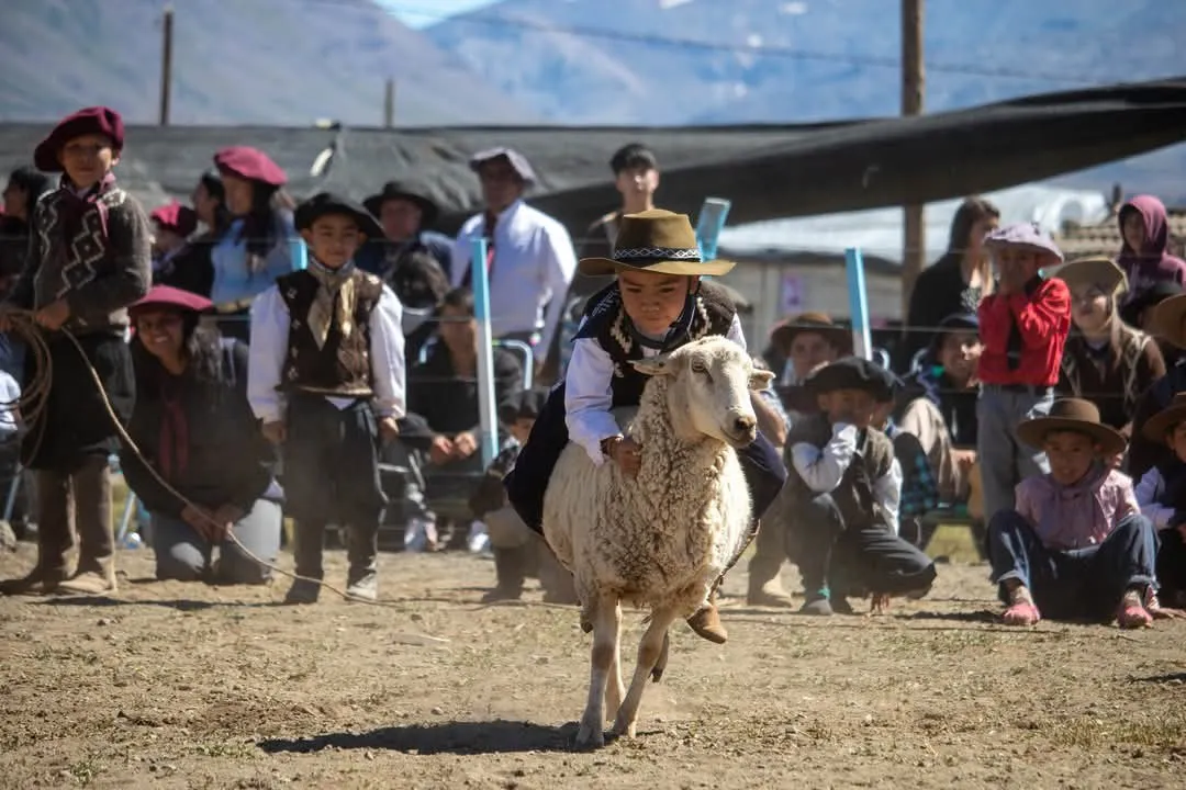 97eb130f-5c6f-418b-a75d-fe1f951820d5