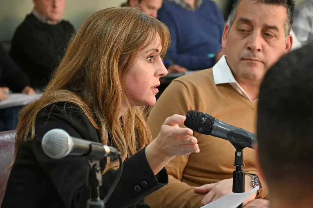 Neuquen-Reunion-de-comision-de-la-legislatura-sobre-reforma-del-regimen-de-jubilaciones-de-jueces-Lorena-Parrilli-salto-7