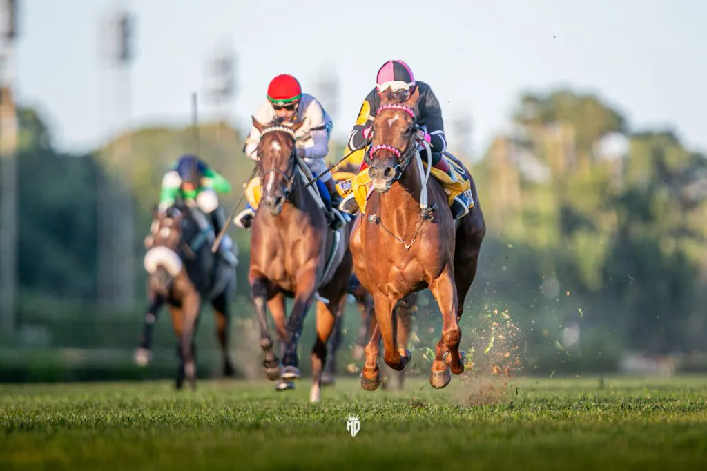 04022023-_02_3462-1024x683