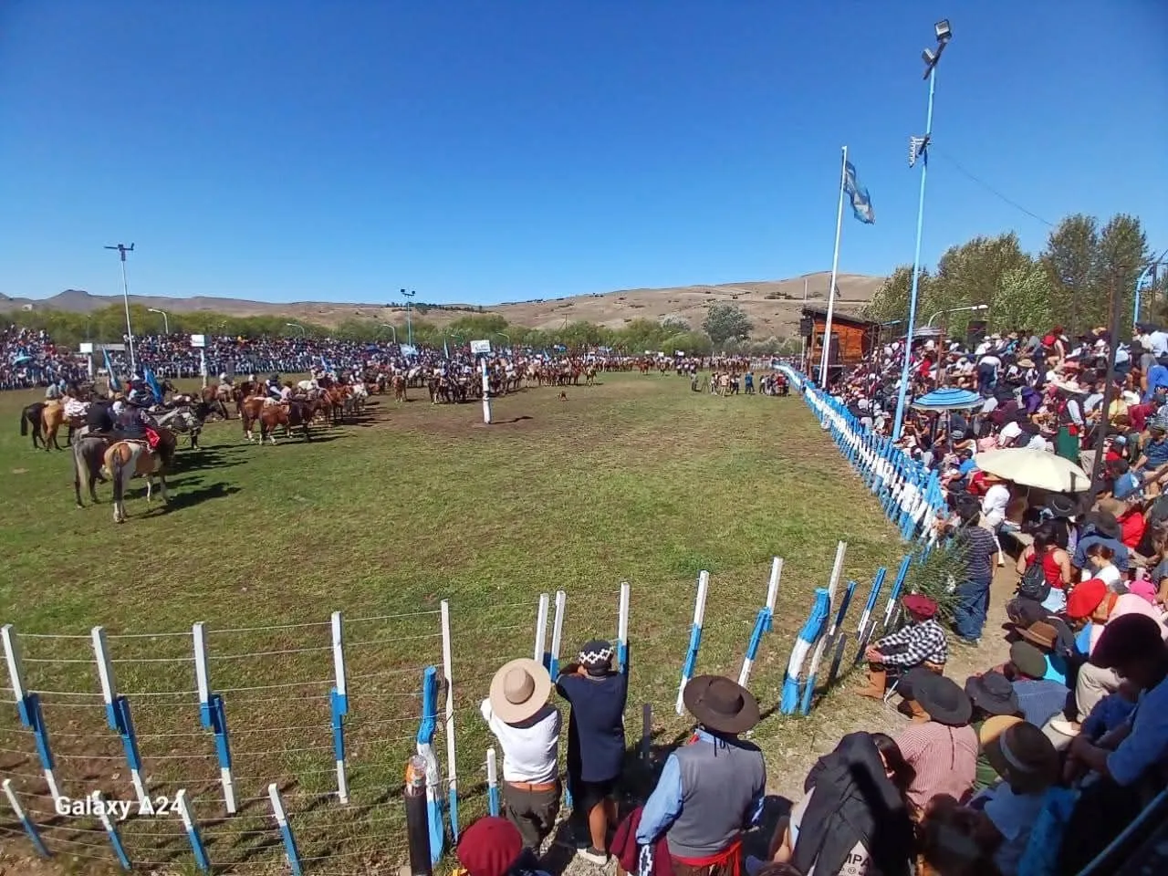 wp-17712400602774085079950599884436