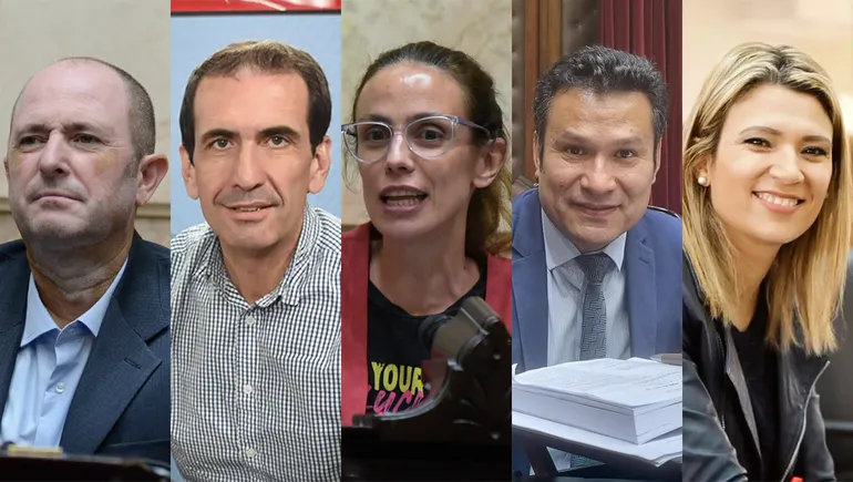 diputados-neuquinospng (1)