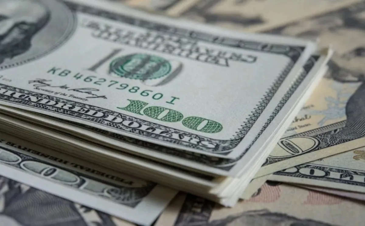 dolar_hoy_argentina.jpg_934757927