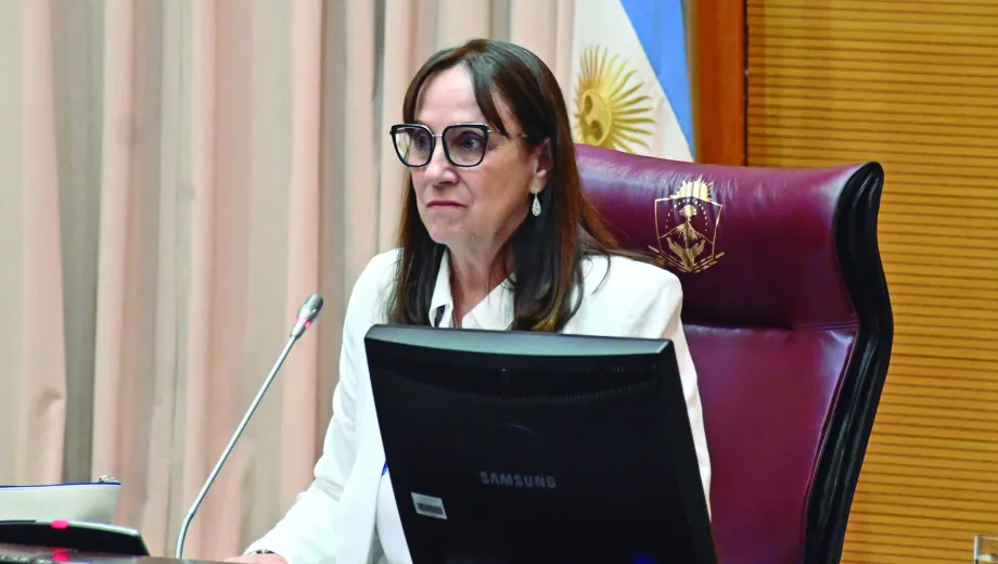 Neuquen-Sesion-preparatoria-de-la-legislatura-Zulma-Reina-salto-5