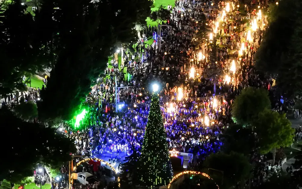 Encendido-de-Pino-Navideno-5