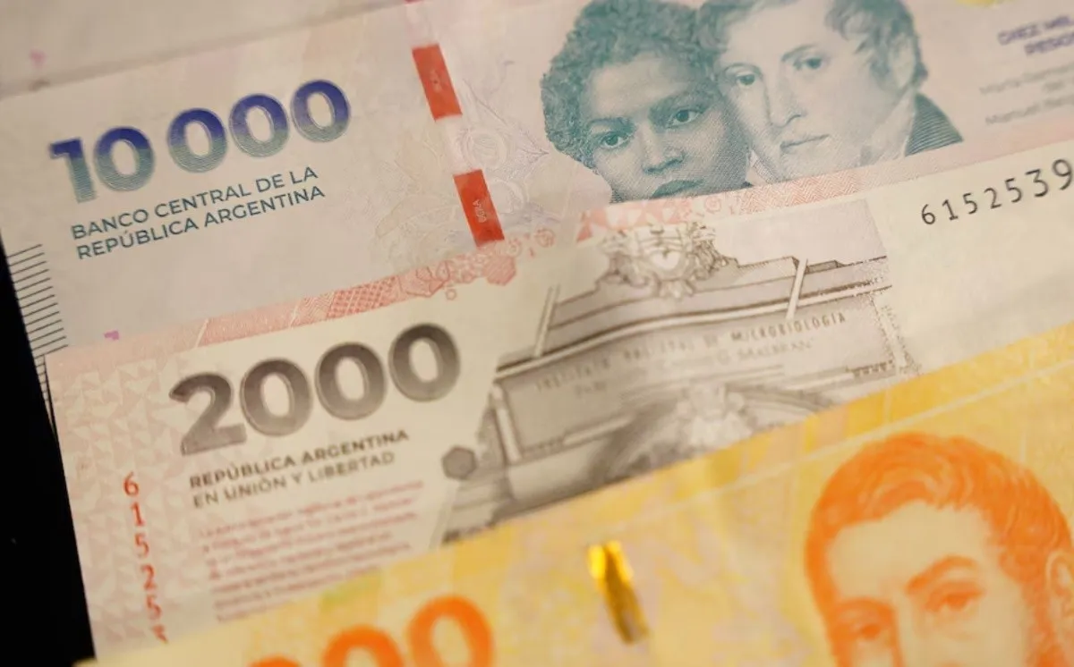 anses-billetes.jpg_149662007