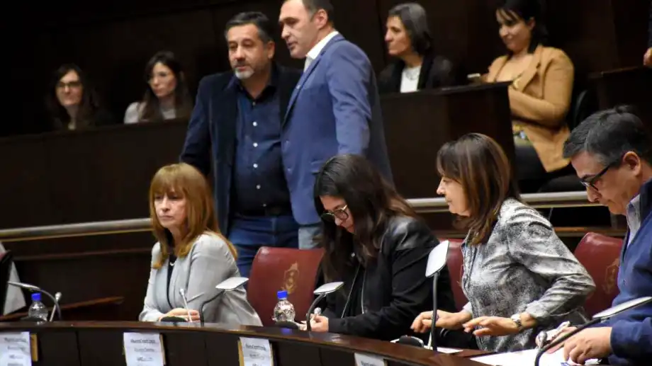 neuquen-legislatura-sesion-ley-16215-mansilla-peralta-murisi-villone-duplesis-caparroz-foto-mati-subat-MES_8396