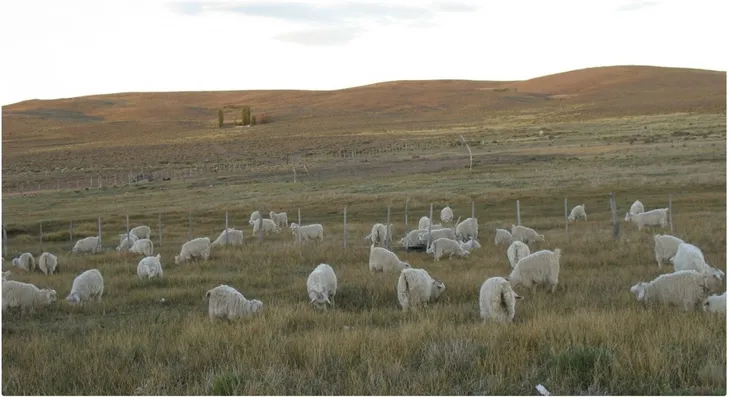 whatsapp-image-2025-10-30-at-162309