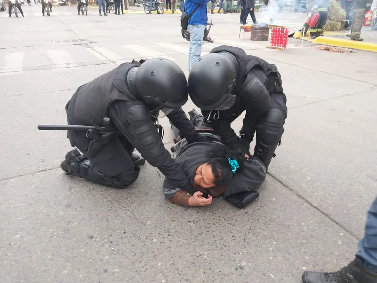 detenidos-desalojo-mapuche-casa-gobierno